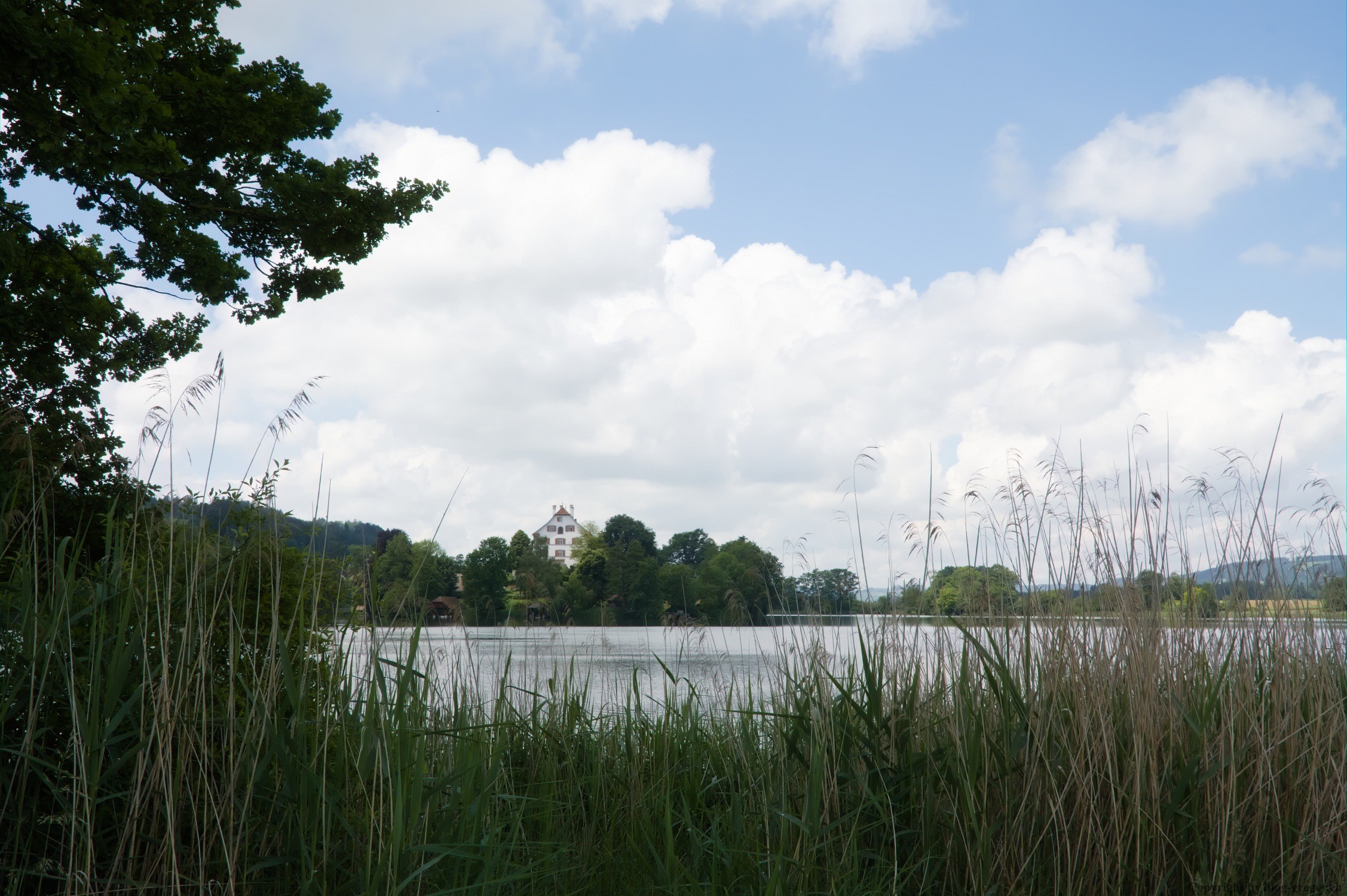 die schöne Wanderung um den Mauensee Gregors Blog